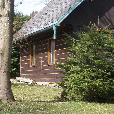 Chata Dvorecna Villa Loucovice Exterior photo