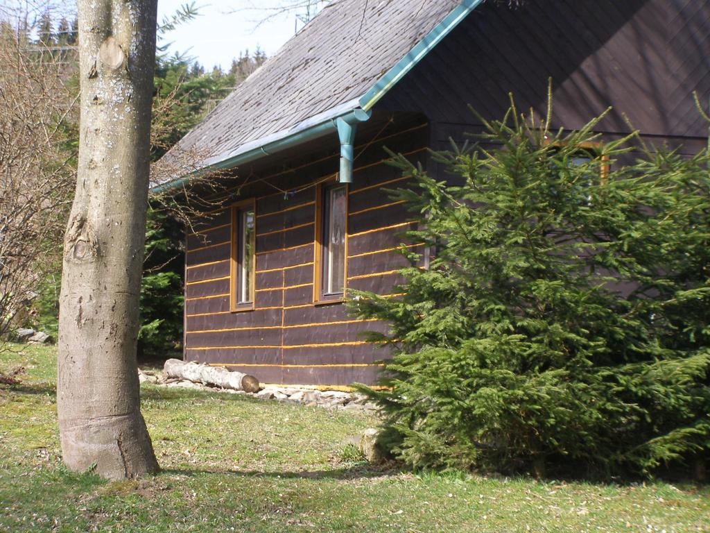 Chata Dvorecna Villa Loucovice Exterior photo
