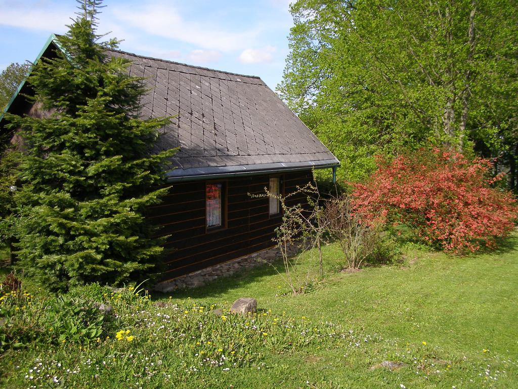 Chata Dvorecna Villa Loucovice Exterior photo